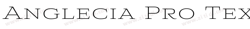 Anglecia Pro Text Li字体转换